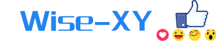 Wise-XY logo